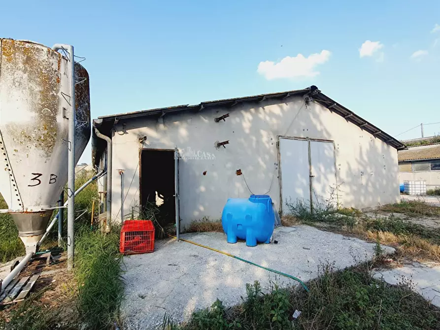 Immagine 6 di Casa indipendente in vendita  in Contrada San Lazzaro a Offida