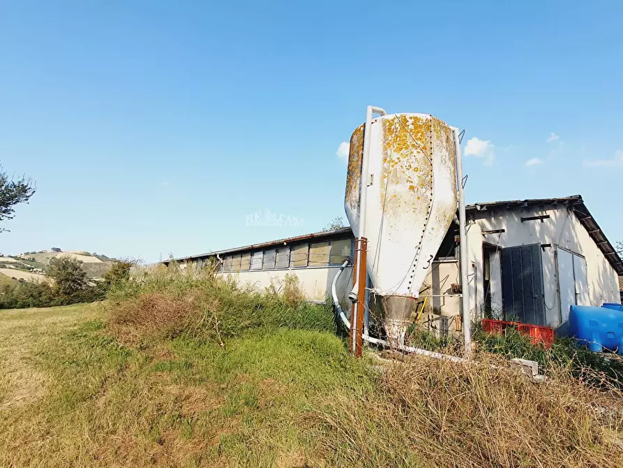 Immagine 7 di Casa indipendente in vendita  in Contrada San Lazzaro a Offida