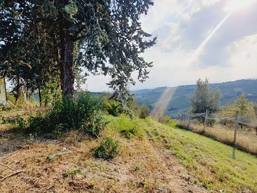 Immagine 8 di Casa indipendente in vendita  in Contrada San Lazzaro a Offida