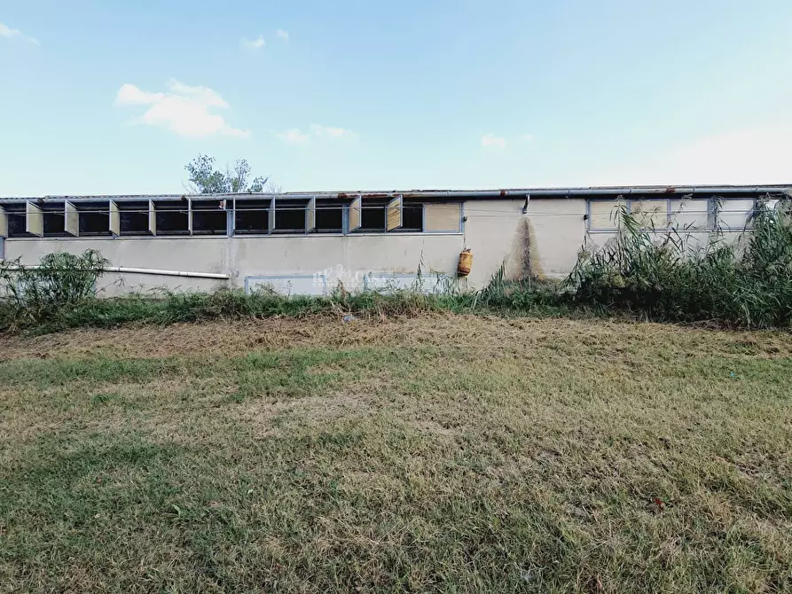 Immagine 9 di Casa indipendente in vendita  in Contrada San Lazzaro a Offida