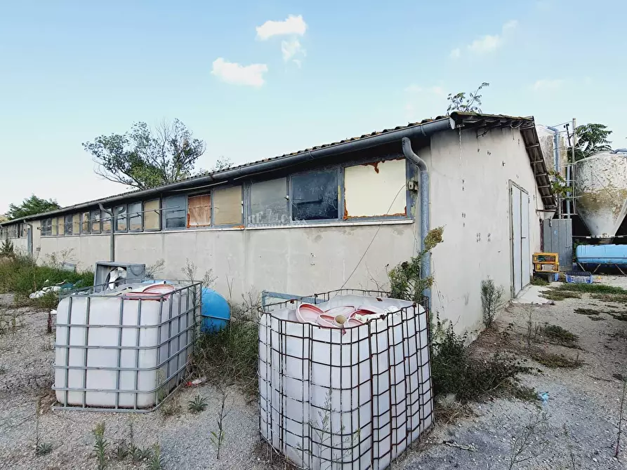 Immagine 10 di Casa indipendente in vendita  in Contrada San Lazzaro a Offida