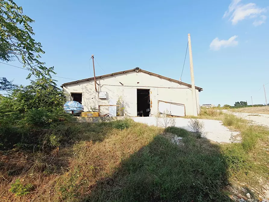 Immagine 11 di Casa indipendente in vendita  in Contrada San Lazzaro a Offida