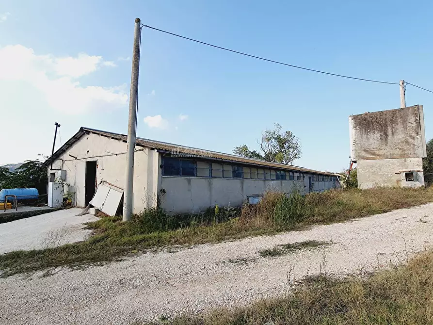 Immagine 12 di Casa indipendente in vendita  in Contrada San Lazzaro a Offida