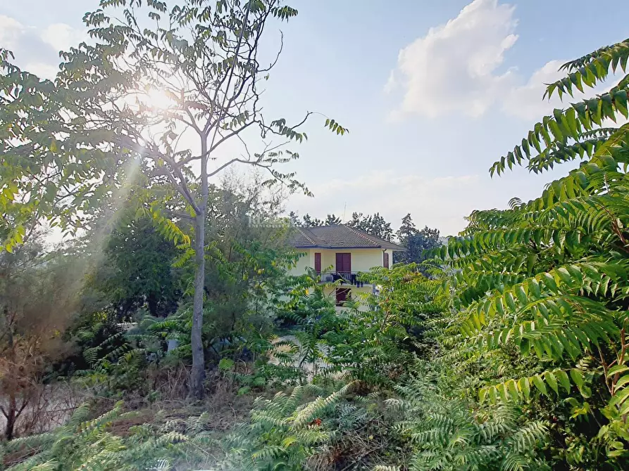 Immagine 13 di Casa indipendente in vendita  in Contrada San Lazzaro a Offida