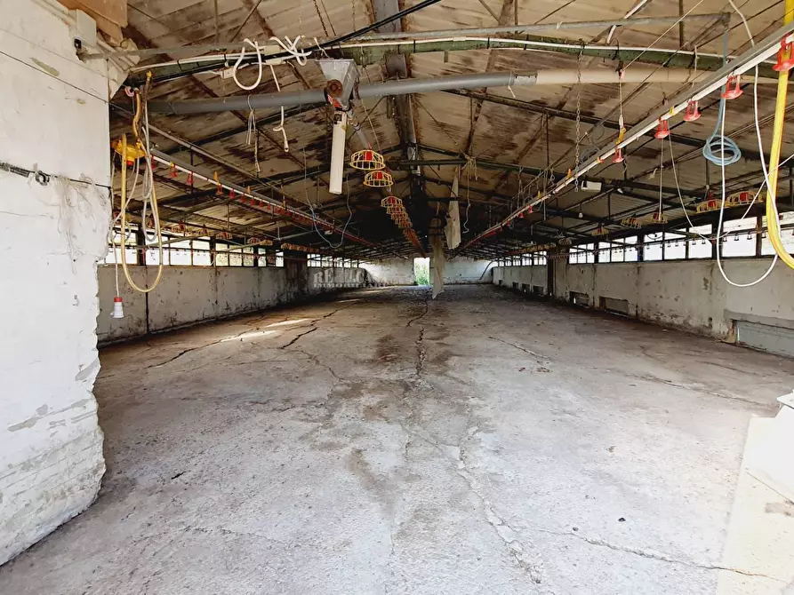 Immagine 14 di Casa indipendente in vendita  in Contrada San Lazzaro a Offida