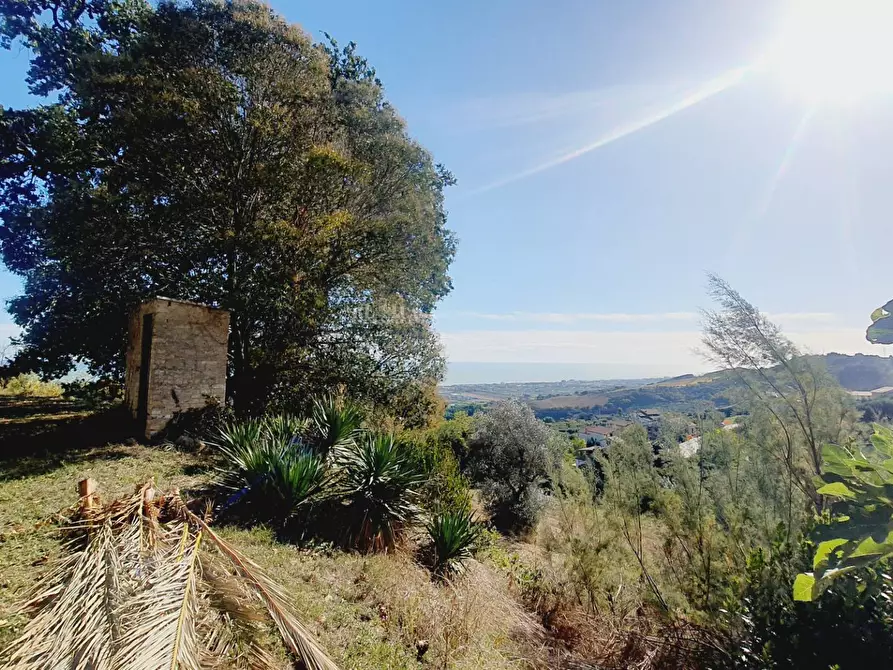 Immagine 6 di Rustico / casale in vendita  in contrada san martino a Colonnella