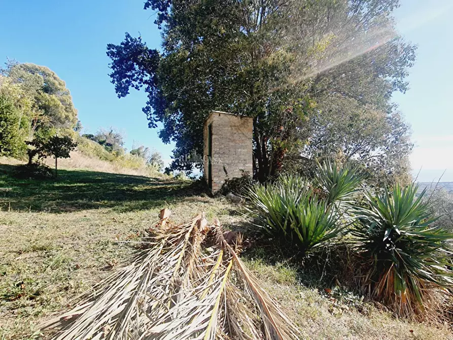Immagine 8 di Rustico / casale in vendita  in contrada san martino a Colonnella