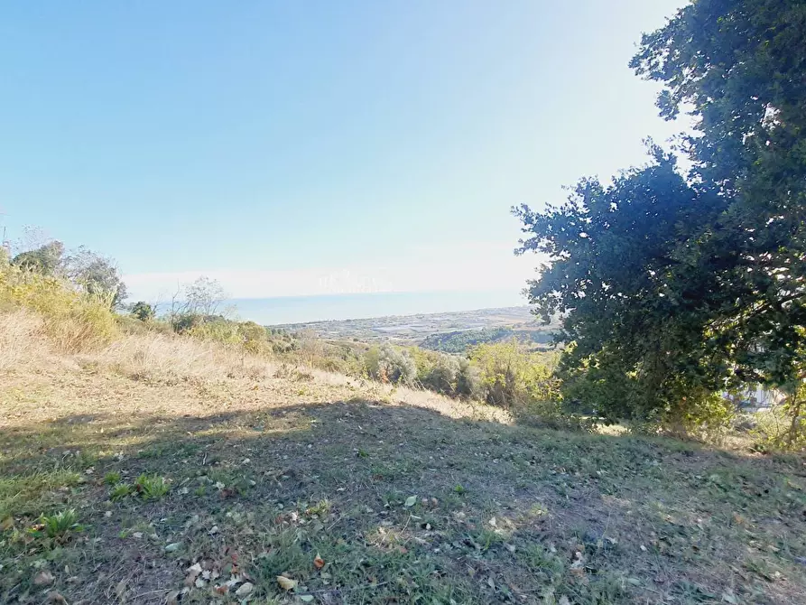 Immagine 9 di Rustico / casale in vendita  in contrada san martino a Colonnella