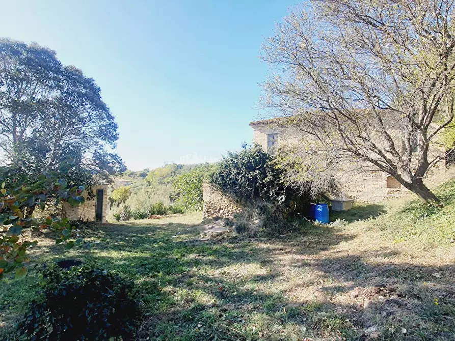 Immagine 10 di Rustico / casale in vendita  in contrada san martino a Colonnella