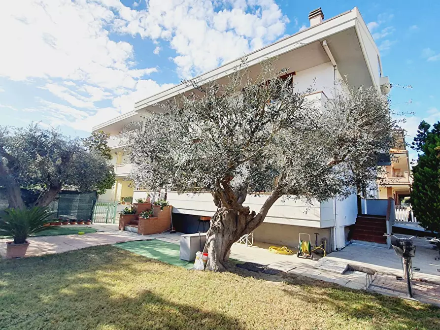 Immagine 3 di Casa indipendente in vendita  in via muracche II a Tortoreto