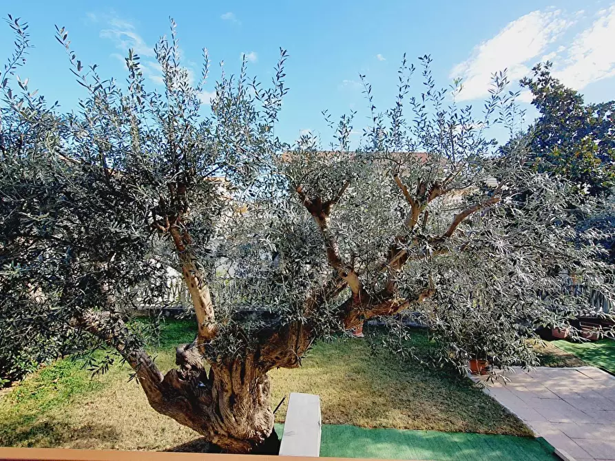 Immagine 8 di Casa indipendente in vendita  in via muracche II a Tortoreto