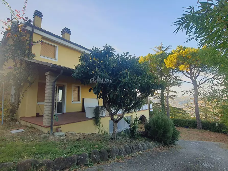 Immagine 4 di Villa in vendita  in via truentina a Colonnella