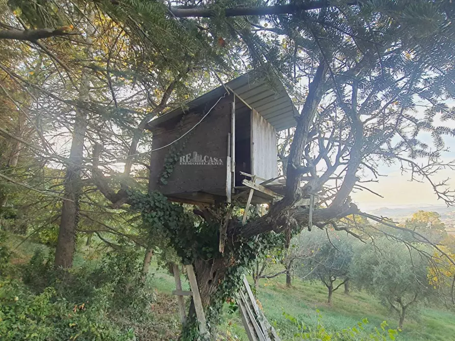Immagine 18 di Villa in vendita  in via truentina a Colonnella