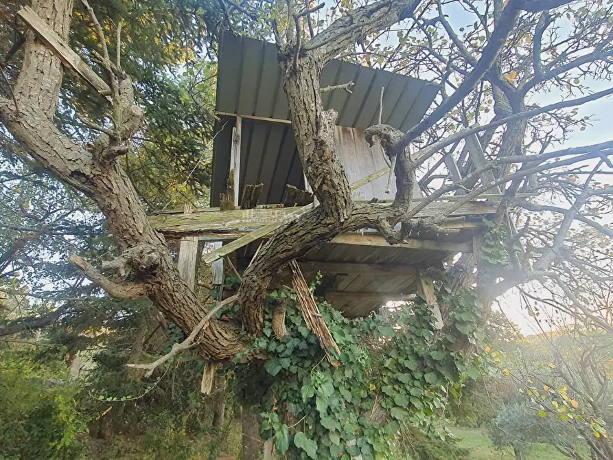 Immagine 19 di Villa in vendita  in via truentina a Colonnella