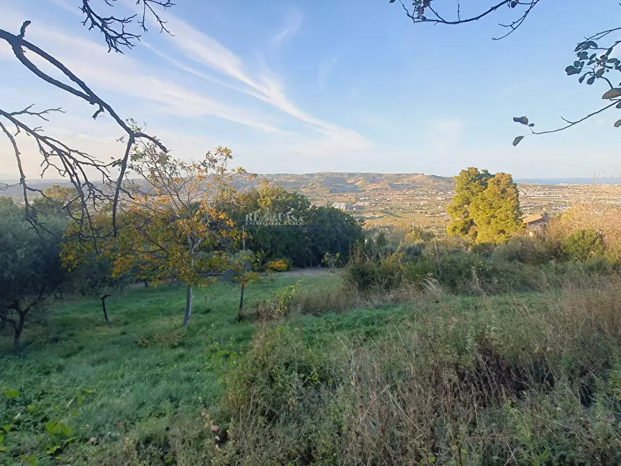 Immagine 16 di Villa in vendita  in via truentina a Colonnella
