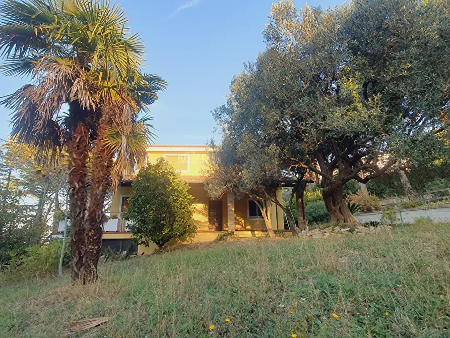 Immagine 12 di Villa in vendita  in via truentina a Colonnella