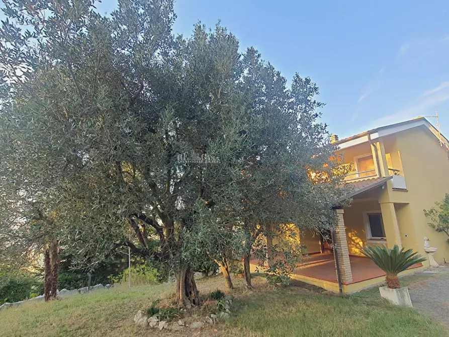 Immagine 11 di Villa in vendita  in via truentina a Colonnella