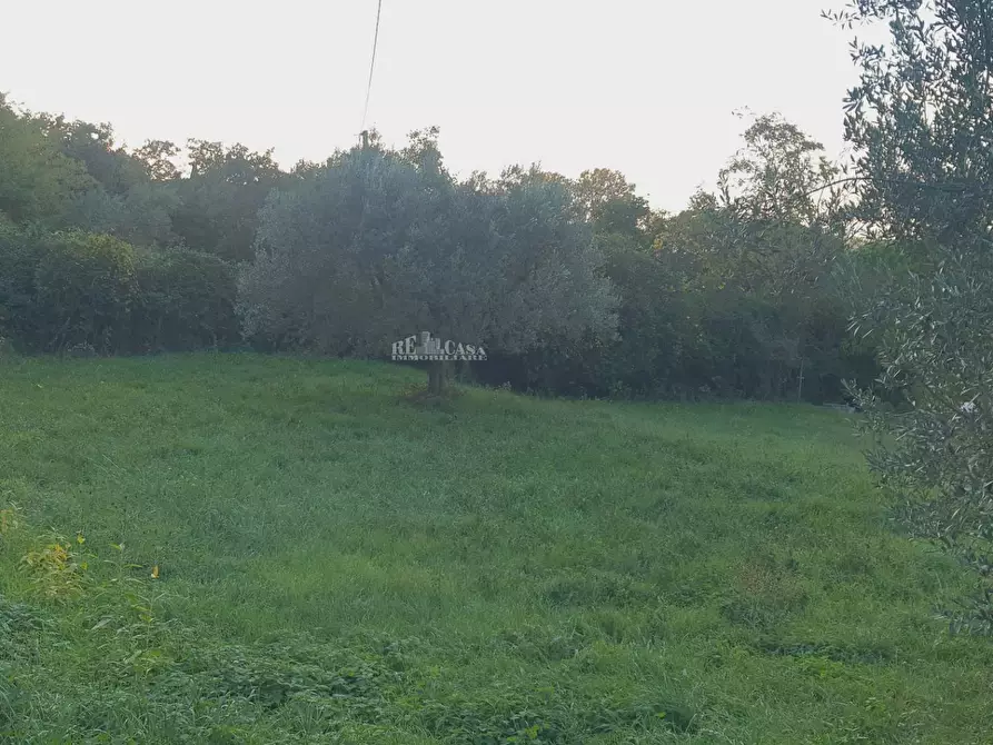 Immagine 15 di Villa in vendita  in via truentina a Colonnella