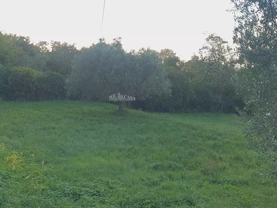 Immagine 14 di Villa in vendita  in via truentina a Colonnella