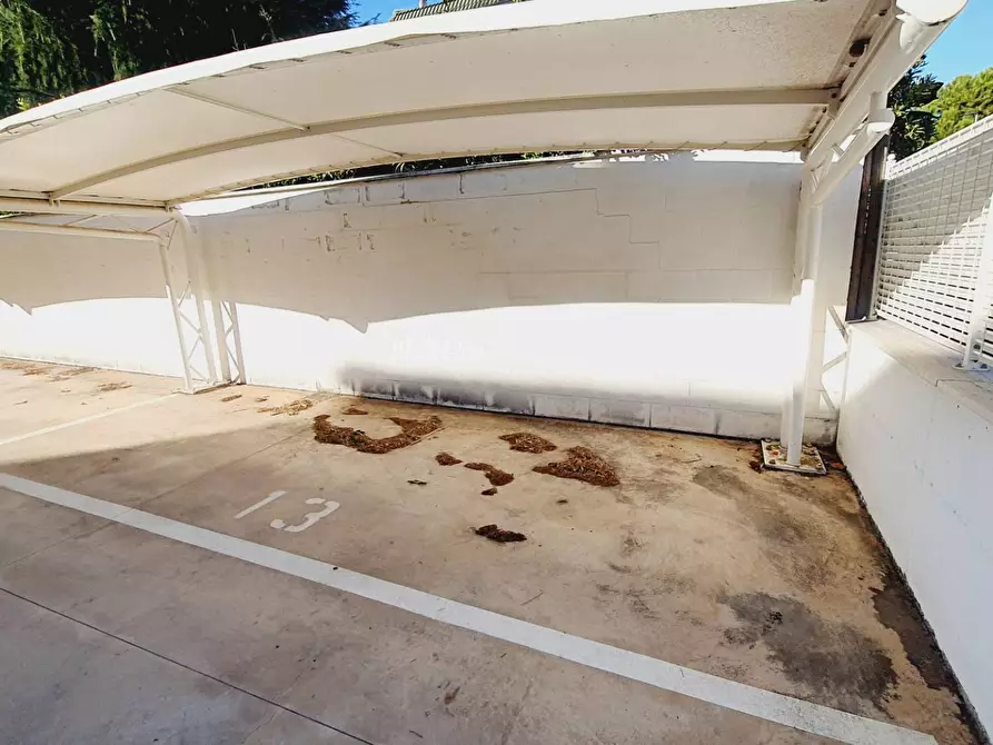 Immagine 29 di Appartamento in vendita  in via pola a San Benedetto Del Tronto