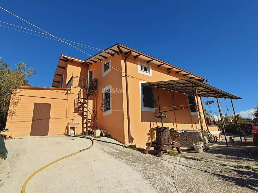 Immagine 3 di Casa indipendente in vendita  in cda san venanzio a Controguerra