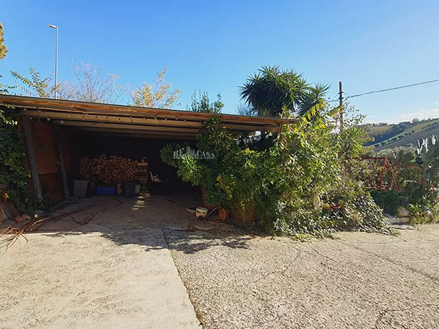 Immagine 9 di Casa indipendente in vendita  in cda san venanzio a Controguerra