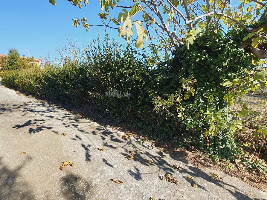 Immagine 13 di Casa indipendente in vendita  in cda san venanzio a Controguerra