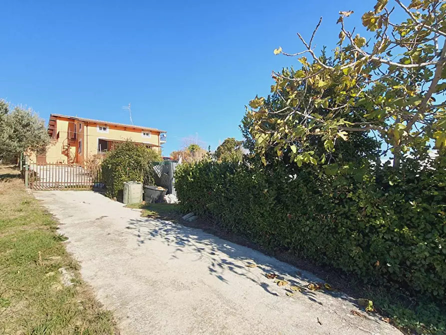 Immagine 14 di Casa indipendente in vendita  in cda san venanzio a Controguerra