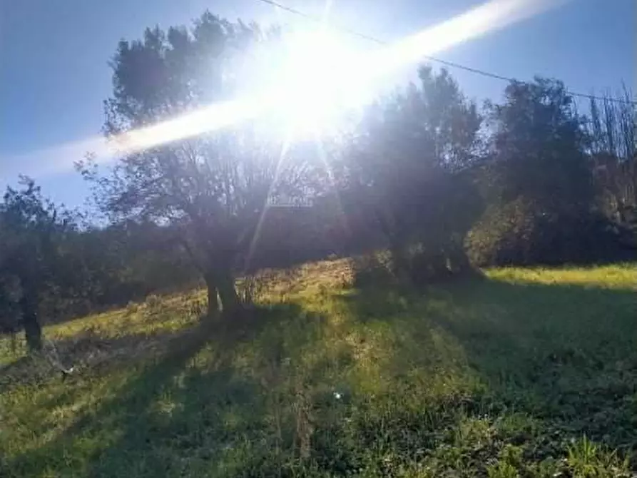 Immagine 19 di Casa indipendente in vendita  in cda san venanzio a Controguerra