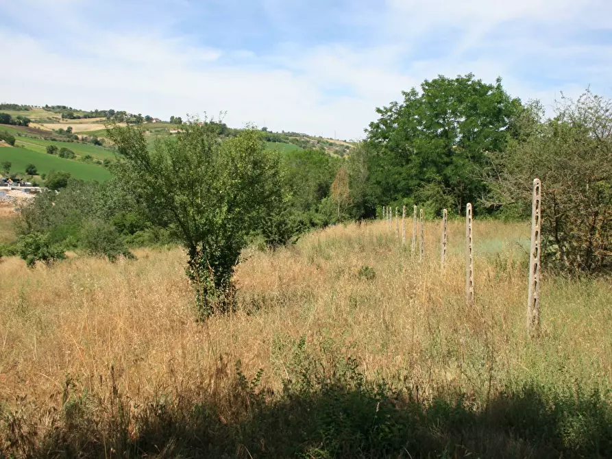 Immagine 1 di Terreno agricolo in vendita  in contrada fontanelle a Monsampolo Del Tronto