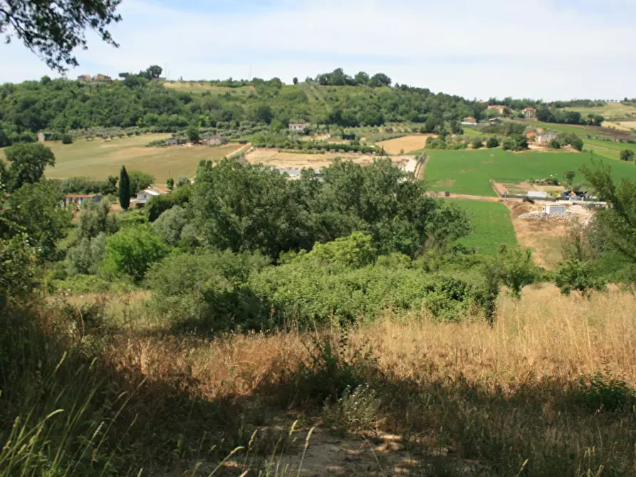 Immagine 20 di Terreno agricolo in vendita  in contrada fontanelle a Monsampolo Del Tronto