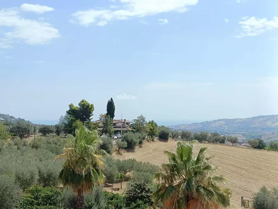 Immagine 8 di Appartamento in vendita  in contrada vallecupa a Colonnella