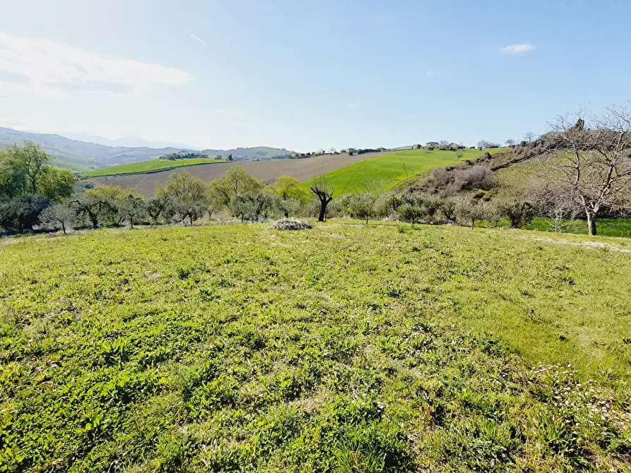 Immagine 30 di Rustico / casale in vendita  in contrada menocchia a Carassai