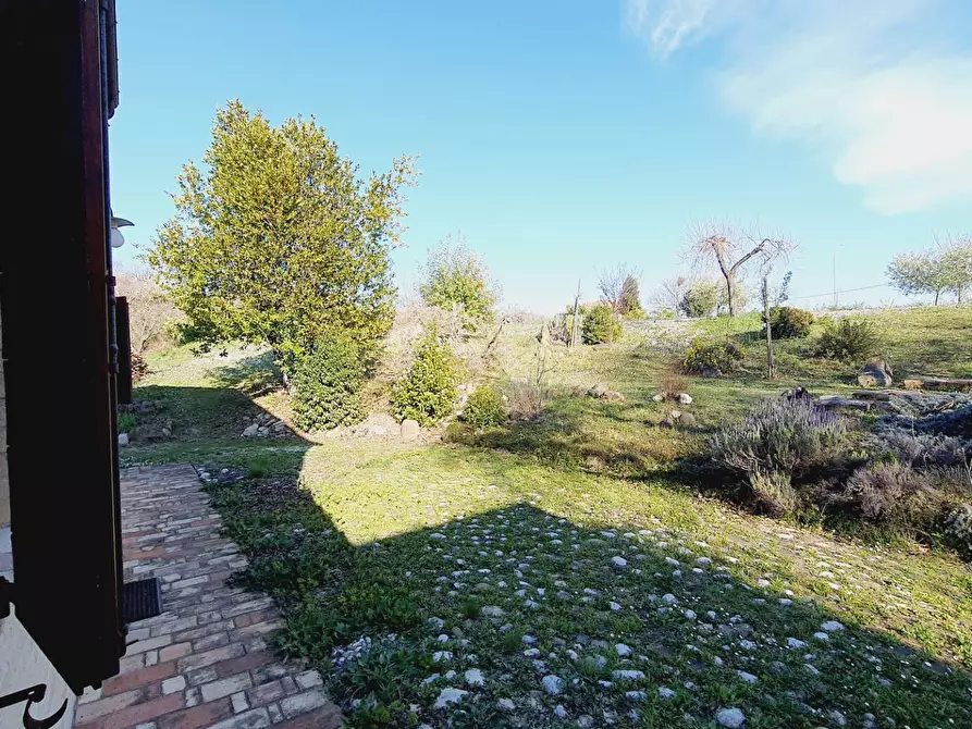Immagine 27 di Rustico / casale in vendita  in contrada menocchia a Carassai