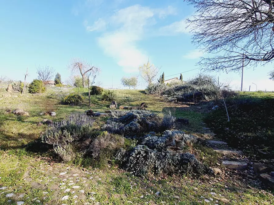 Immagine 29 di Rustico / casale in vendita  in contrada menocchia a Carassai