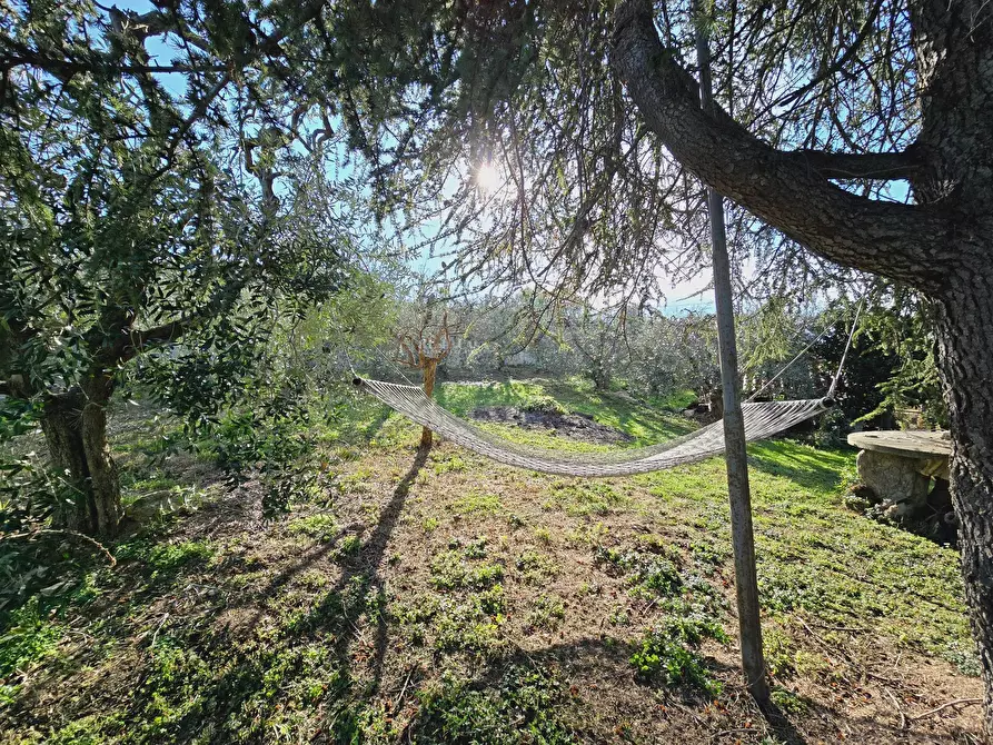 Immagine 23 di Casa indipendente in vendita  in Via Bora di Ragnola a Monteprandone