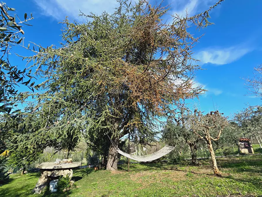 Immagine 24 di Casa indipendente in vendita  in Via Bora di Ragnola a Monteprandone