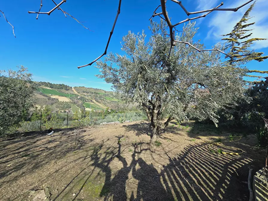 Immagine 25 di Casa indipendente in vendita  in Via Bora di Ragnola a Monteprandone