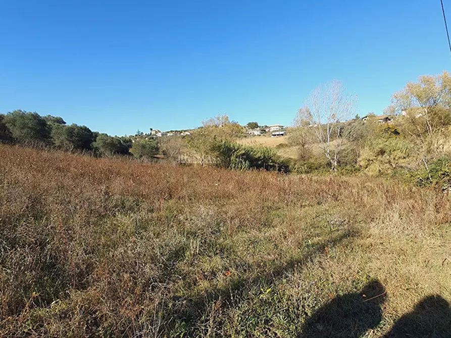 Immagine 8 di Rustico / casale in vendita  in contrada san venanzio a Controguerra