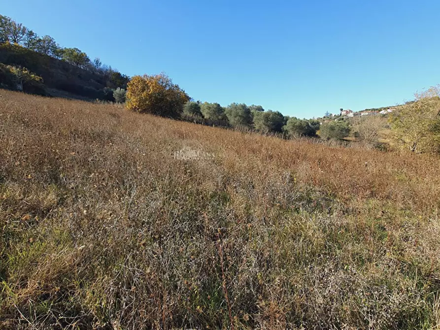 Immagine 9 di Rustico / casale in vendita  in contrada san venanzio a Controguerra