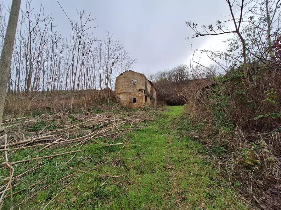 Immagine 2 di Rustico / casale in vendita  in contrada san venanzio a Controguerra