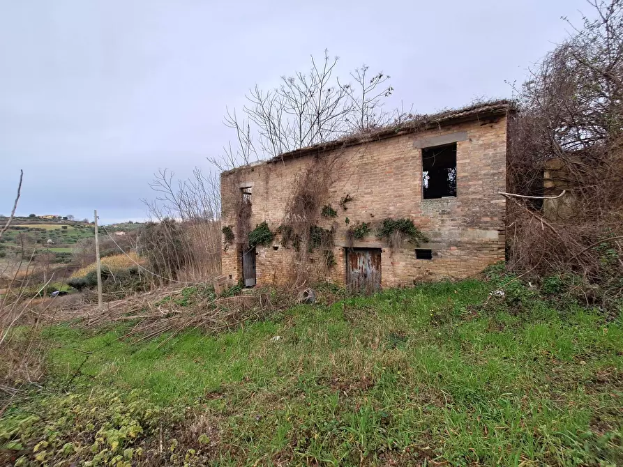 Immagine 3 di Rustico / casale in vendita  in contrada san venanzio a Controguerra