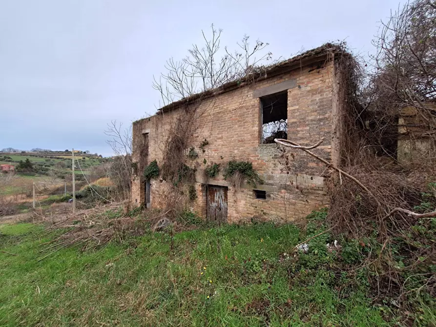 Immagine 4 di Rustico / casale in vendita  in contrada san venanzio a Controguerra