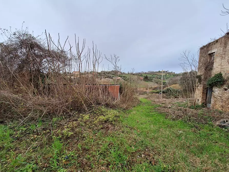 Immagine 6 di Rustico / casale in vendita  in contrada san venanzio a Controguerra