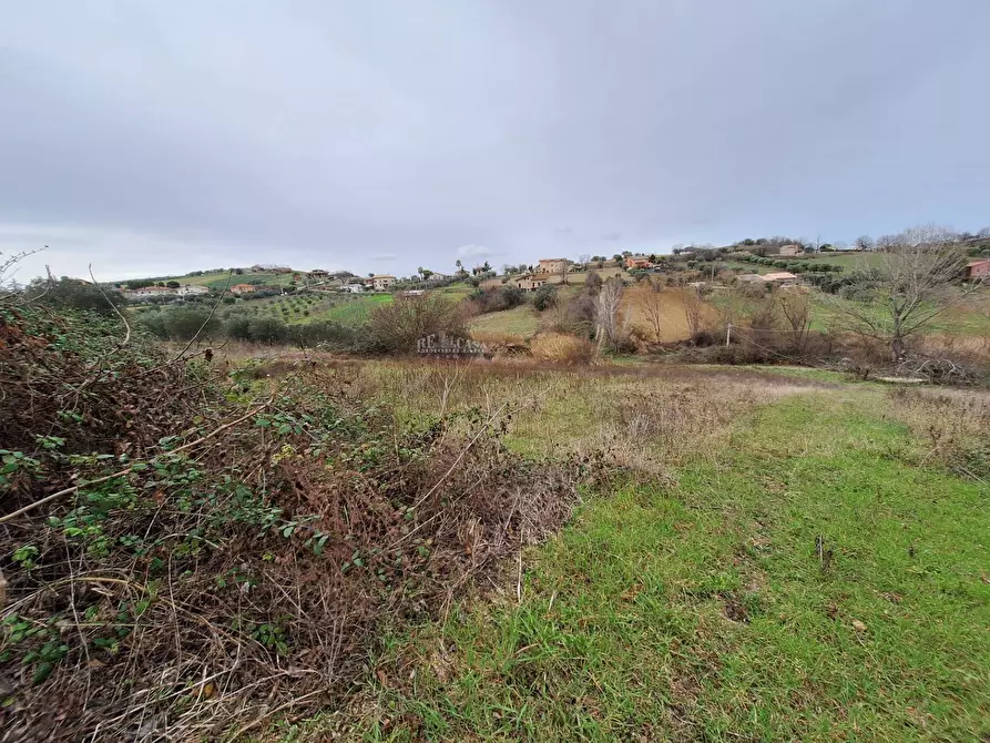 Immagine 11 di Rustico / casale in vendita  in contrada san venanzio a Controguerra