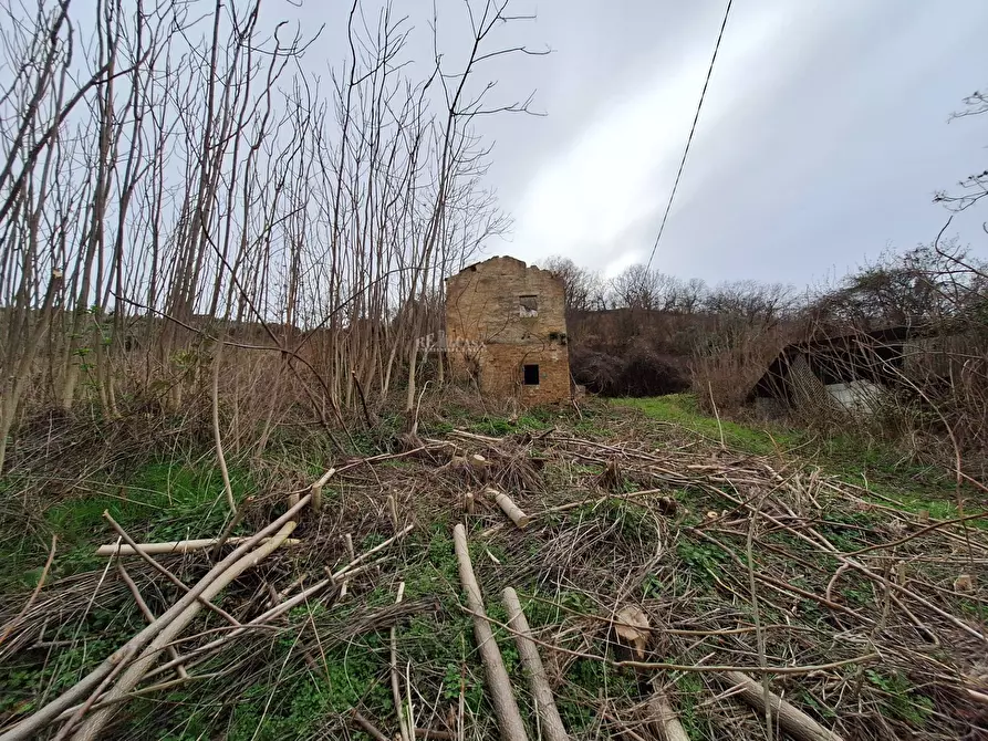 Immagine 5 di Rustico / casale in vendita  in contrada san venanzio a Controguerra