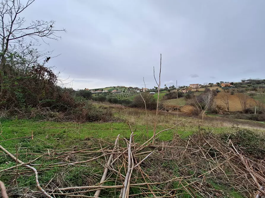 Immagine 12 di Rustico / casale in vendita  in contrada san venanzio a Controguerra