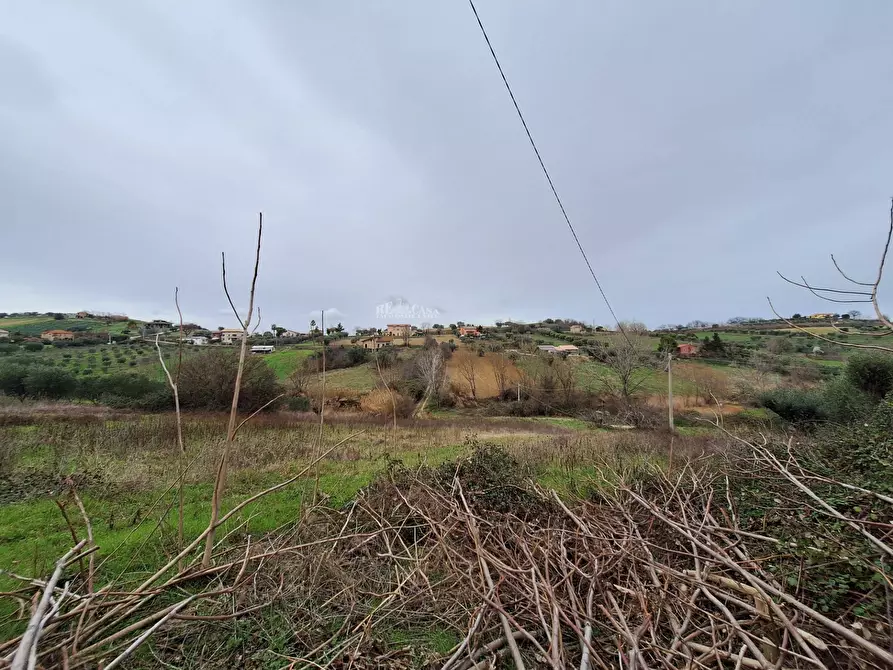 Immagine 13 di Rustico / casale in vendita  in contrada san venanzio a Controguerra