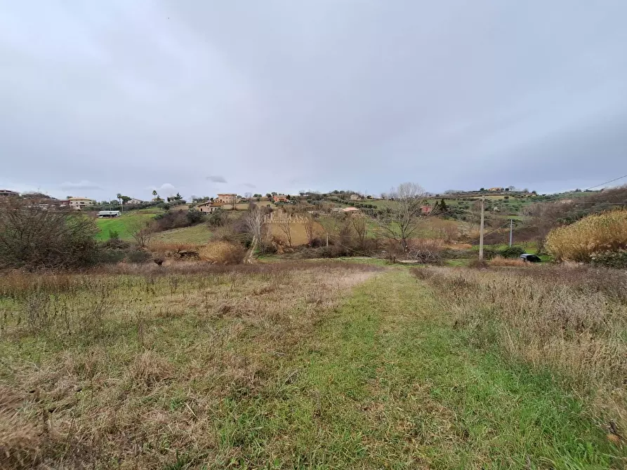 Immagine 15 di Rustico / casale in vendita  in contrada san venanzio a Controguerra
