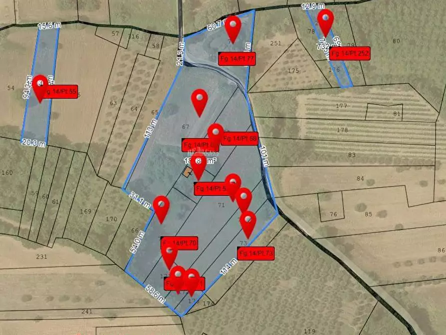 Immagine 16 di Rustico / casale in vendita  in contrada san venanzio a Controguerra